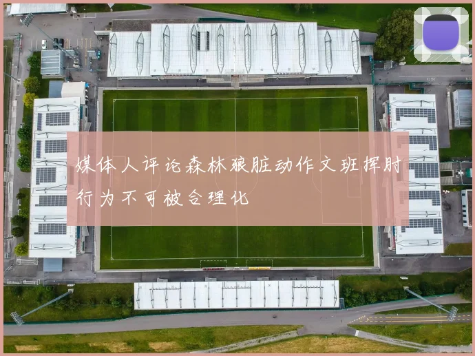 媒体人评论森林狼脏动作文班挥肘行为不可被合理化